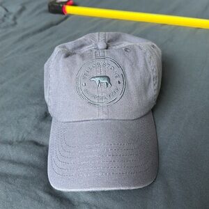 YELLOWSTONE NATIONAL PARK BLUE CAP - never worn